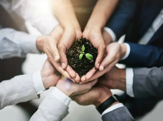  Go Global Together. Yogiras International