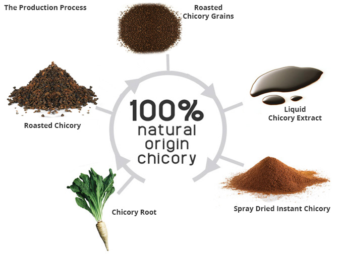 Chicory  powder manufacturer/supplier in india . Yogiras International